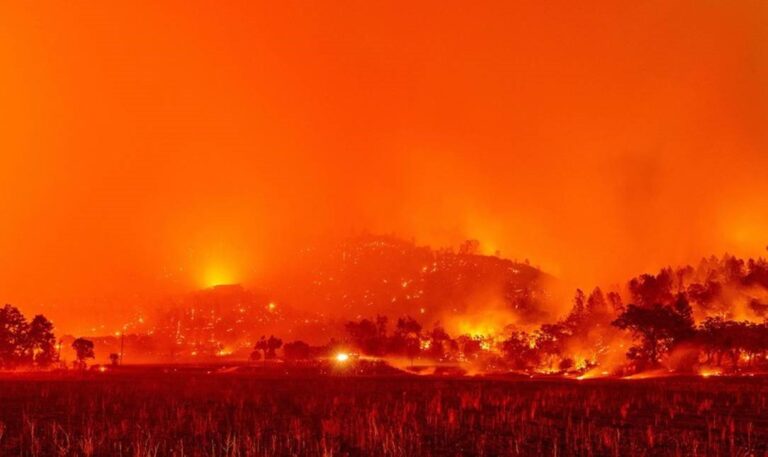 Emergencia en Napa y Soloma: alerta máxima por incendios