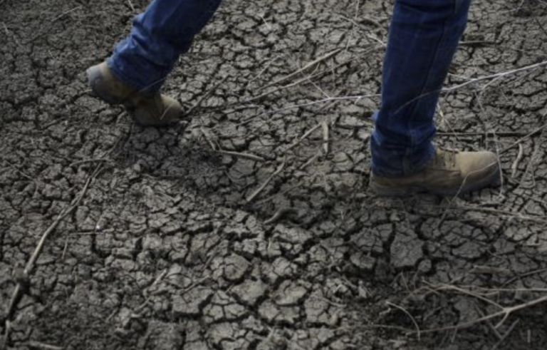 Afrodescendientes y latinos en EE.UU.: población más afectada por cambio climático