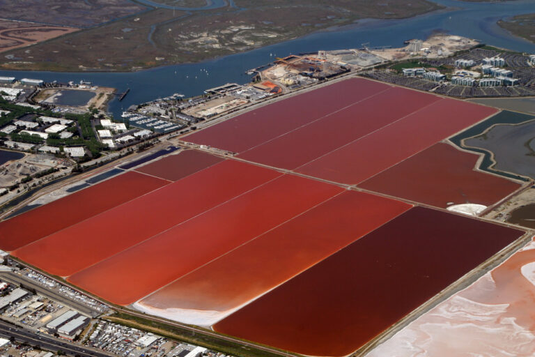 Redwood City: salinas sujetos a protección ambiental, juez