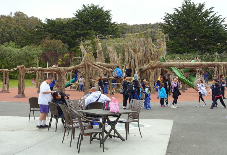 San Francisco: over 180 playgrounds reopened after 7 months