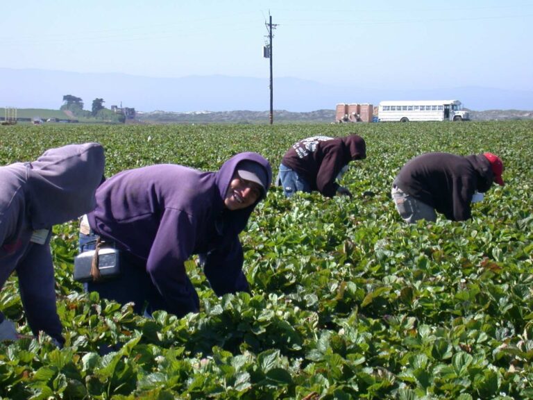 COVID-19: Recession affects immigrants and afro-descendants more