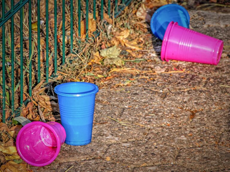 San Mateo: Plastic ban in 2021