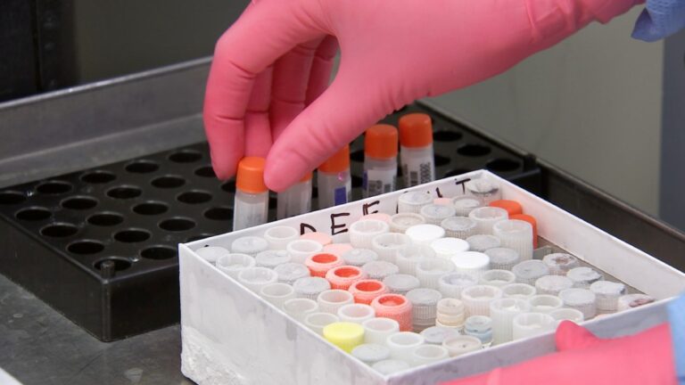 COVID-19: San Mateo officials hopeful after vaccine arrival
