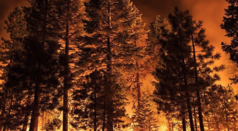 Fuertes vientos desatan incendios forestales en San Mateo