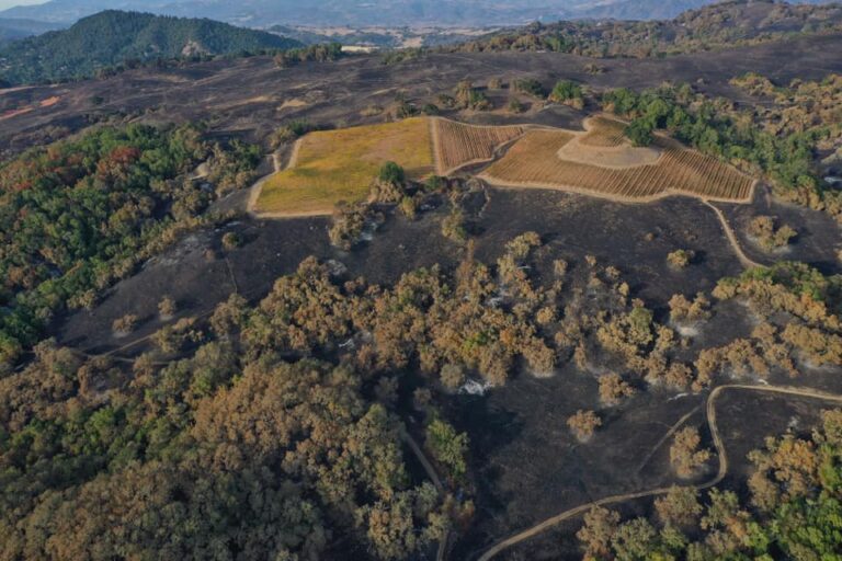 Condado de San Mateo apuesta por neutralidad de carbono en 2035