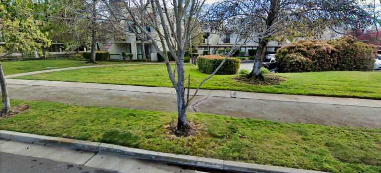 Arrestado por arma de fuego en Redwood City