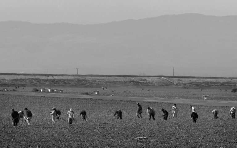 Bill would give legal status to undocumented farm workers