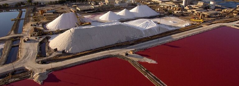 Environmentalists Halt Work on Redwood City Salt Ponds