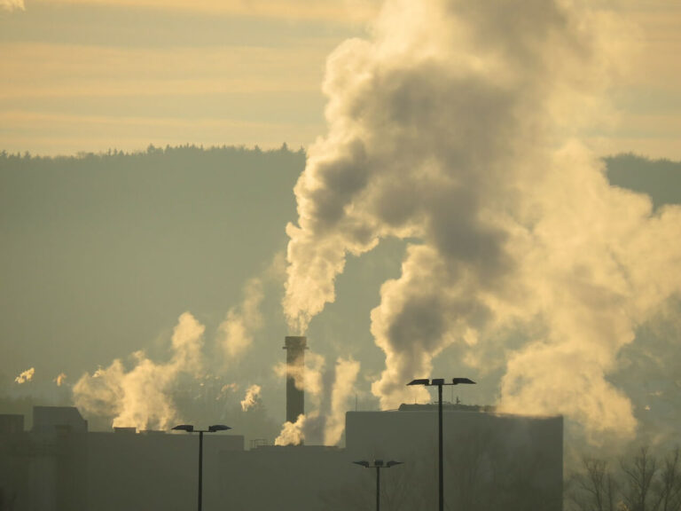 U.S. BETS ON PLANET, SEEKS TO REDUCE GREENHOUSE FOOTPRINT TO 50% BY 2030. U.S. Bets on Planet, Seeks to Reduce Greenhouse Footprint to 50% by 2030