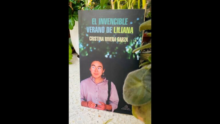 Already Forever Enraged: The Invincible Summer of Liliana, by Cristina Rivera Garza