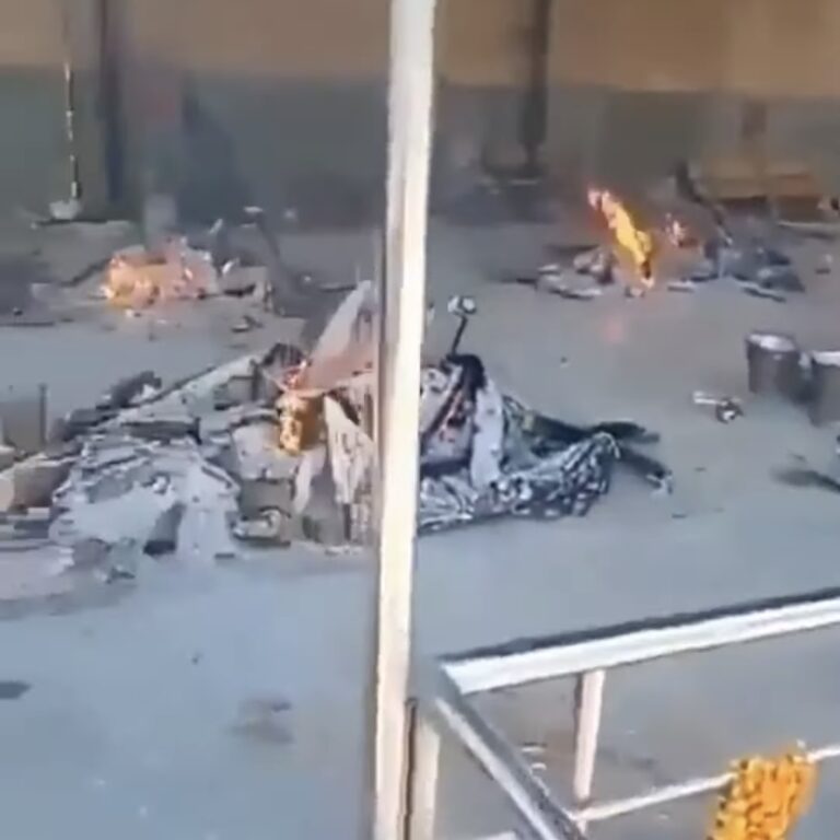 COVID-19: Crematoria in India create firewood shortage