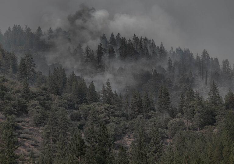 Incendios forestales pueden exacerbar casos de COVID-19 y muertes