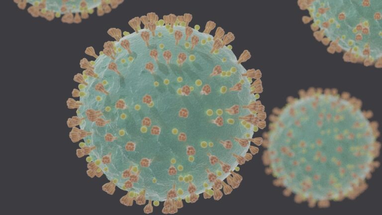 Pandemia de mentiras y  desinformación tan dañina como la COVID