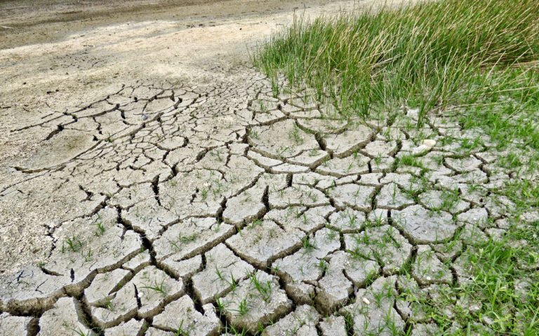 Pese a que crisis climática supone una amenaza existencial, hay un lado positivo: Biden