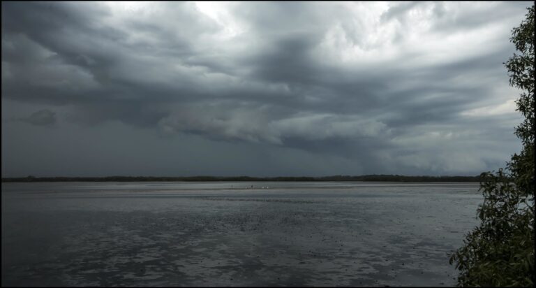 El Área de la Bahía registra lluvias históricas