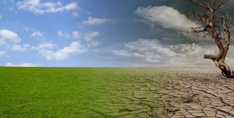 La lucha contrarreloj para detener el cambio climático