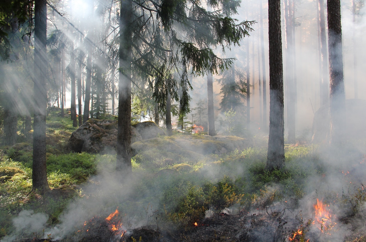 El Gobernador Gavin Newsom presentó la campaña estatal One Less Spark una iniciativa que busca reducir los incendios forestales provocados por la actividad humana