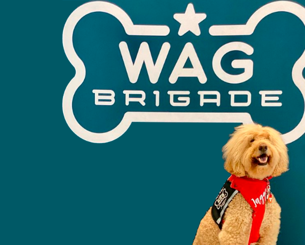 WAG brigade