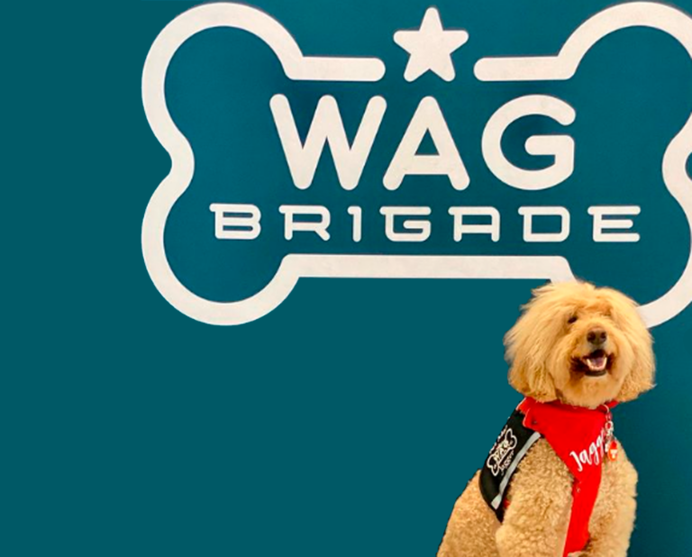 La Brigada WAG está de vuelta en el Aeropuerto Internacional de San Francisco