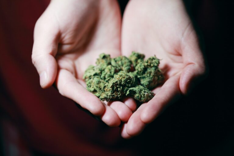 Permits issued to 4 cannabis retail stores in Redwood City