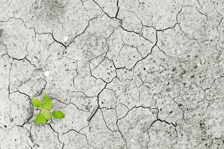Escasea agua en California por cambio climático, expertos
