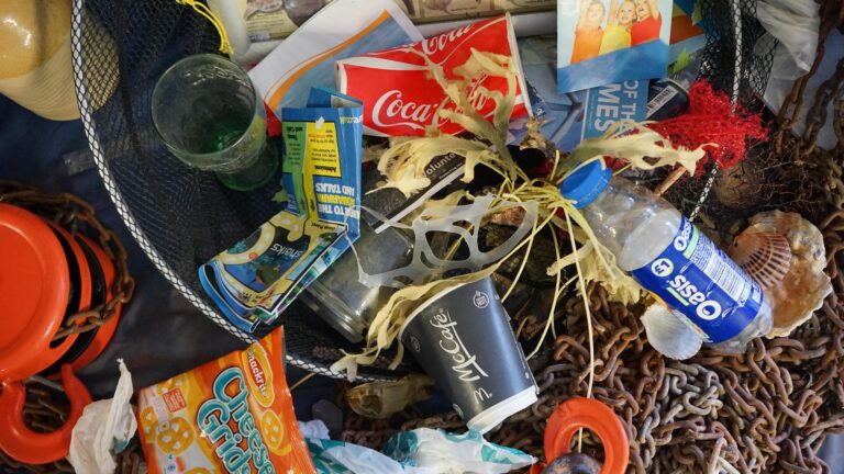 Plastic pollution lawsuit to proceed in San Mateo County courts