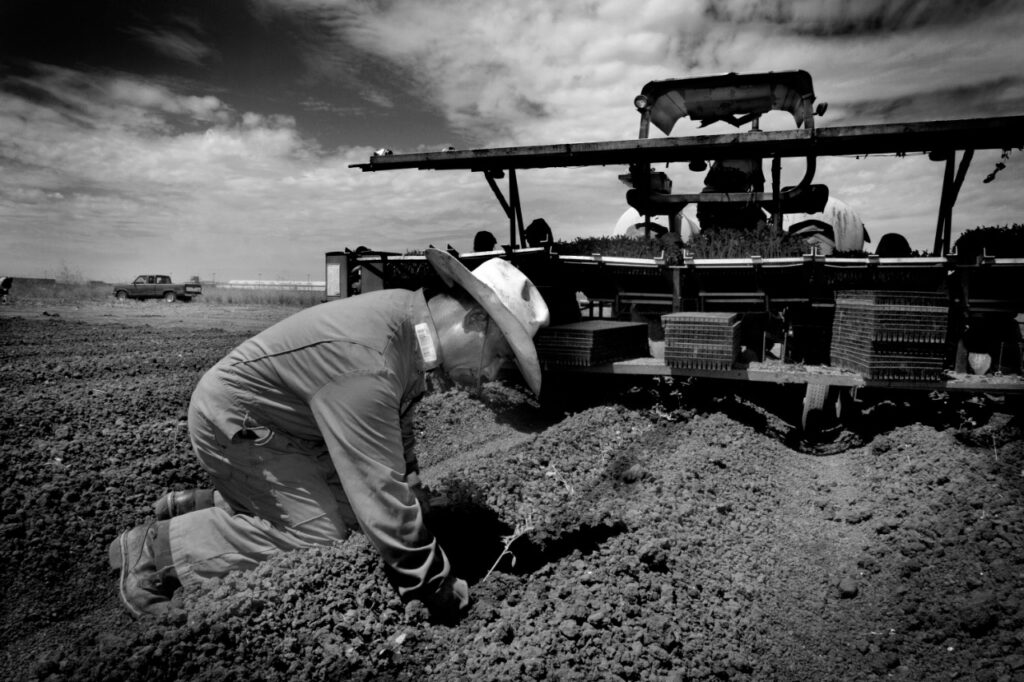 Condado de San Mateo busca mejorar condiciones de vida de trabajadores agrícolas