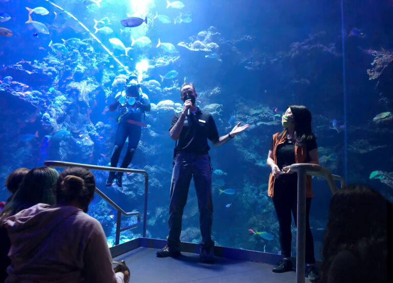 Teenagers take over Cal Academy for a night of science