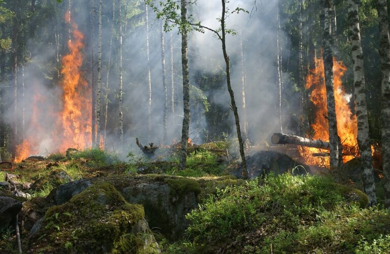 California announces support for jurisdictions affected by natural disasters
