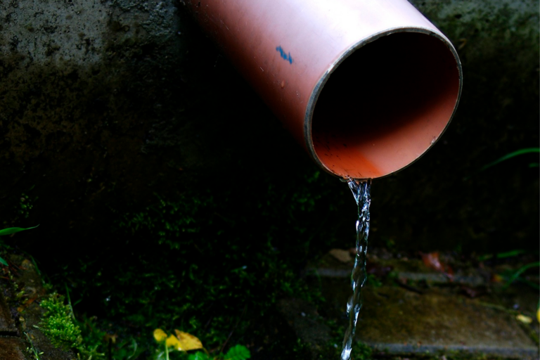 Stanford monitors wastewater for COVID-19 and simian pox genetic markers