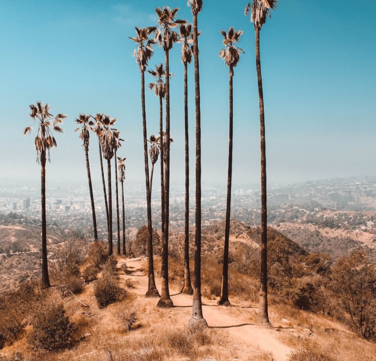 California launches "Heat Ready CA" to protect communities from extreme heat