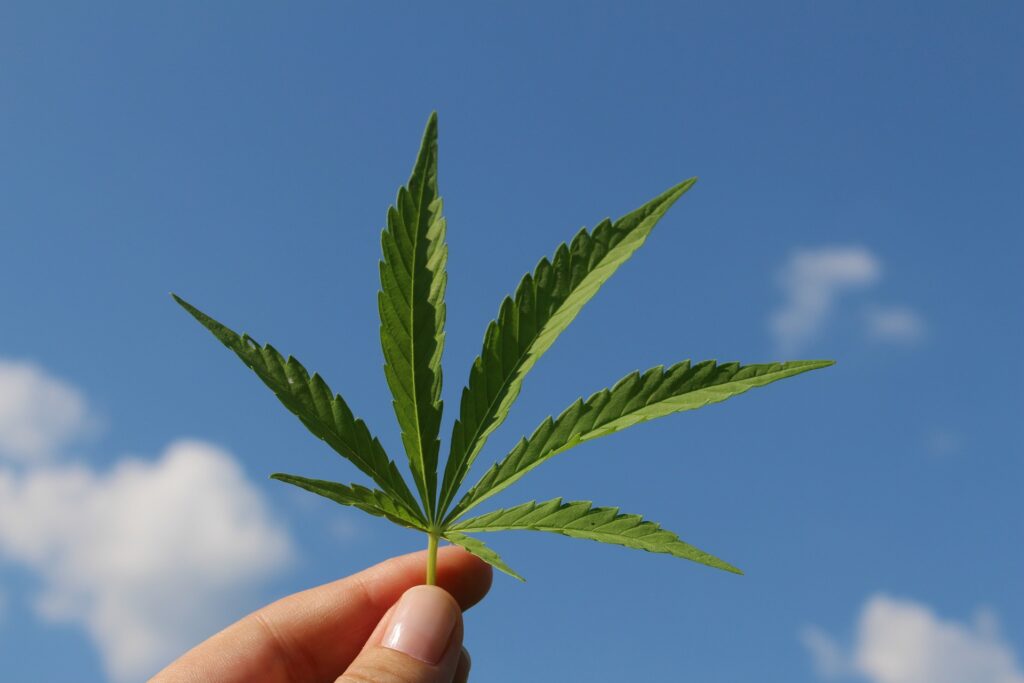 leyes de cannabis en California