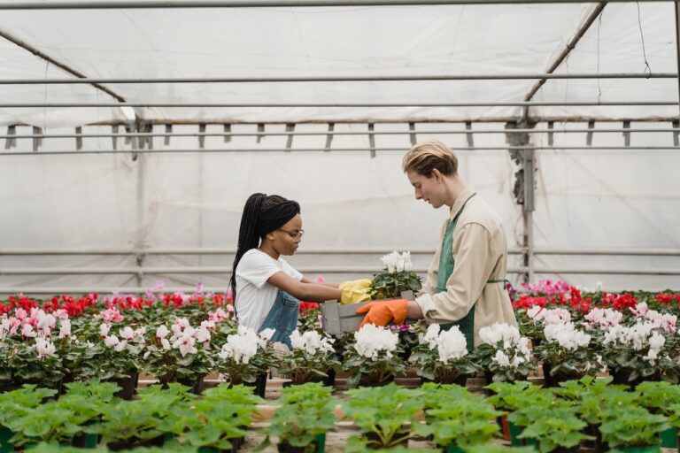 Floral crops revitalize agricultural production in San Mateo County