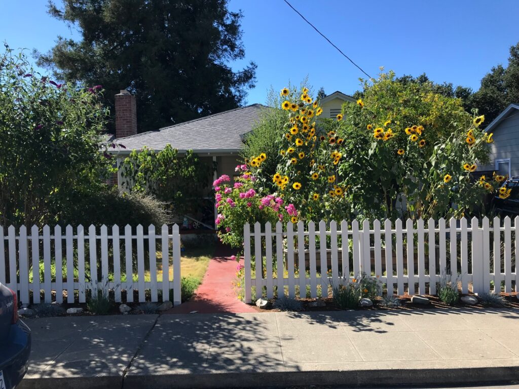 The Centennial neighborhood loses a hundred-year-old tree.