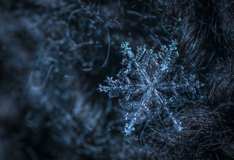 Bay Area Records Major Snowfall Not Seen Since 2011