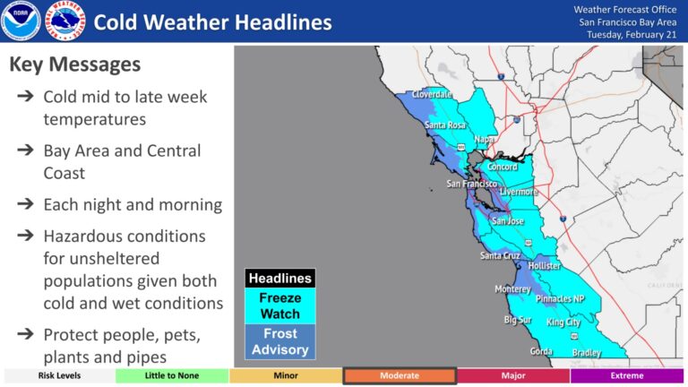 Nearly 23,000 PG&E customers without power in the Bay Area due to high winds