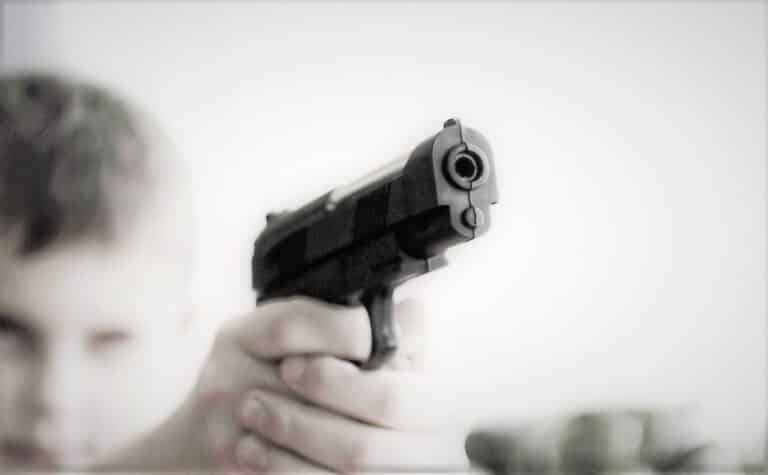 It is necessary to create real controls on access to firearms