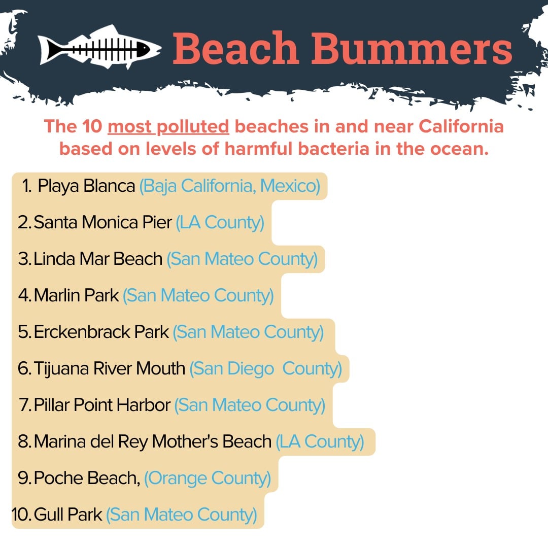 Five of the most polluted beaches in California are from San Mateo County