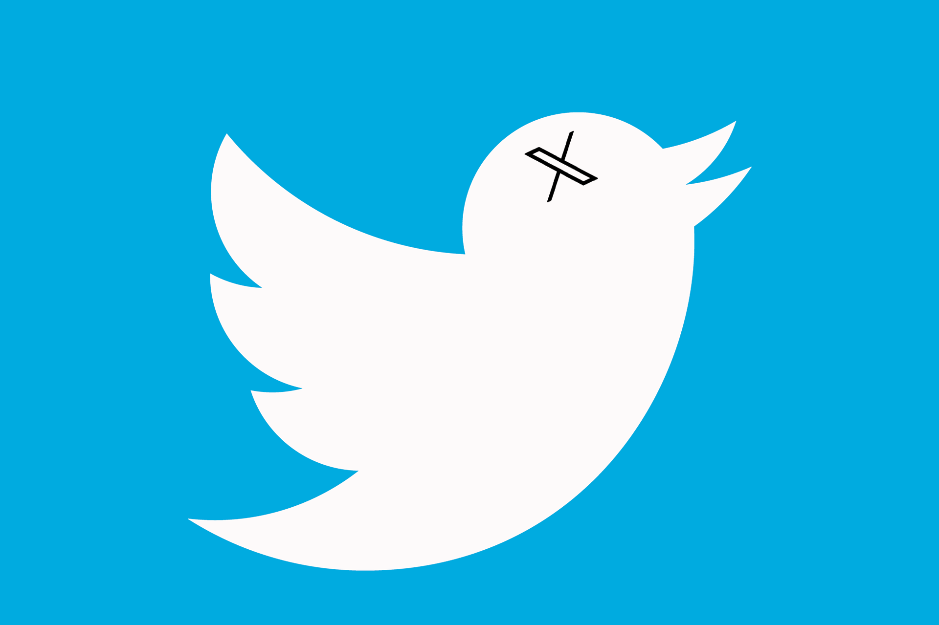 Adiós al icónico pájaro azul, anuncian fin del nombre de Twitter, una X llegó a remplazarlo
