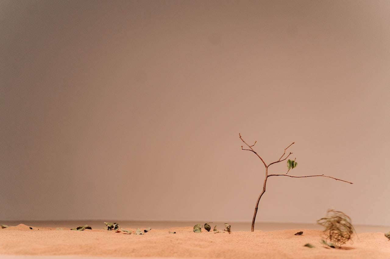 California avanza en su resiliencia frente al calor extremo