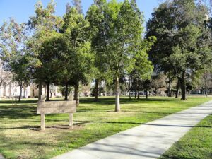 San José will have $6.6 million to preserve its trees