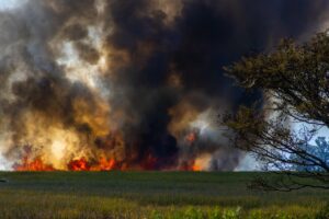 Researchers use AI to link rising temperatures and wildfire behavior