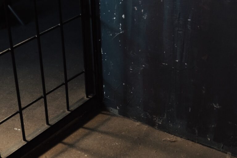 Another inmate found dead in his cell inside the Maguire Correctional Center