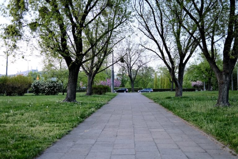San Jose is recognized as the sixth greenest city in the US and second in California