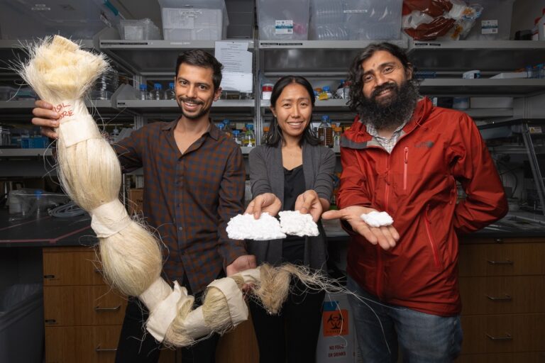 Stanford researchers create plant-based sanitary pads that would improve access
