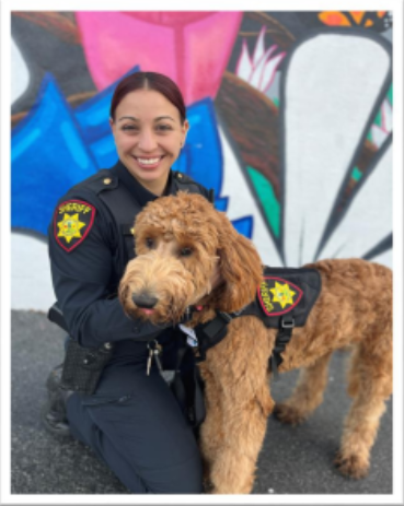 Oficina del Sheriff del condado de San Mateo anuncia programa de perro de terapia