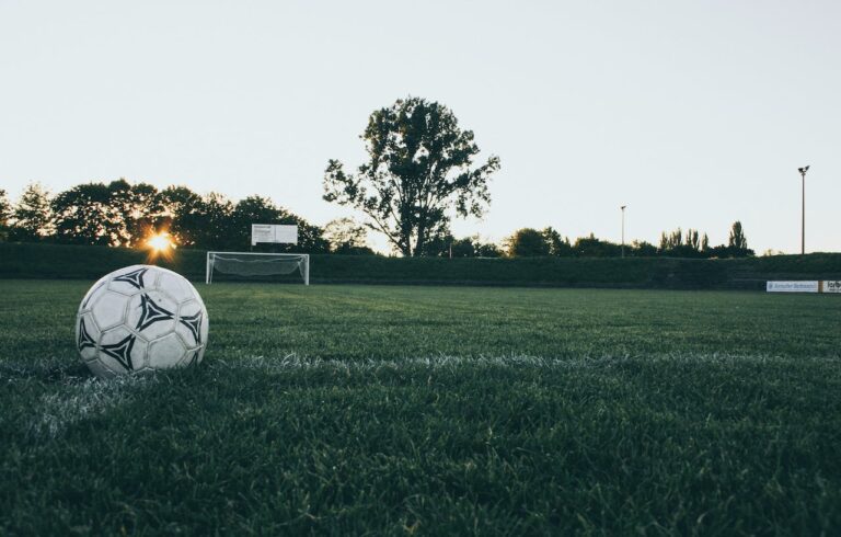 Santa Clara County and SJ Earthquakes Partner to Build Soccer Fields at Fairgrounds