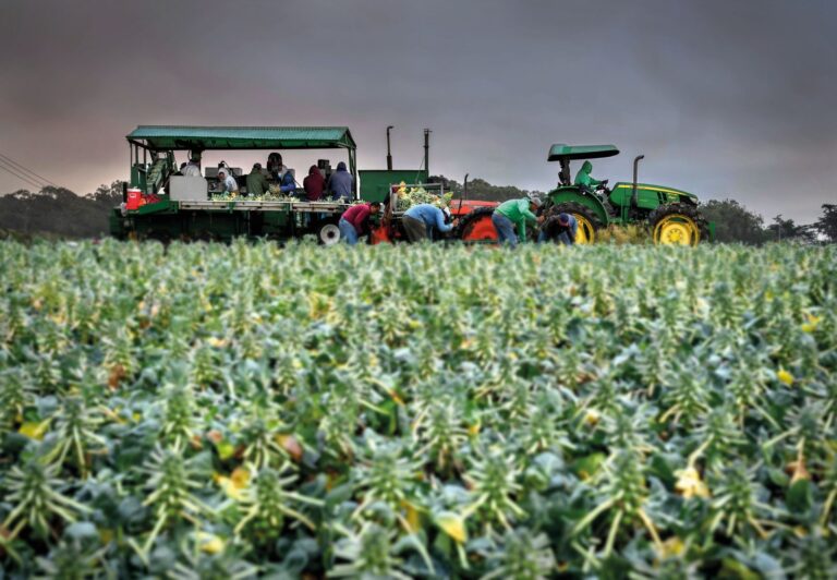 Almost $6 million are approved for housing for agricultural workers in San Mateo