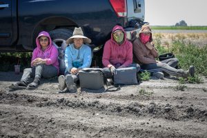 Campesinas en Tulelake 