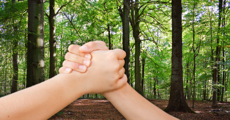 Sector forestal de California se fortalece con la inclusión de mujeres, minorías y veteranos
